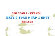 Bài 1.3 SGK Toán 9 tập 1 Kết nối tri thức